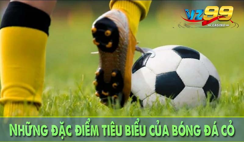 Những đặc điểm tiêu biểu của bóng đá cỏ