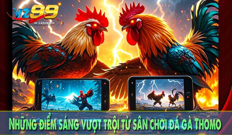 Những điểm sáng vượt trội từ sân chơi đá gà thomo
