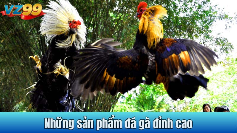 Những sản phẩm đá gà đỉnh cao