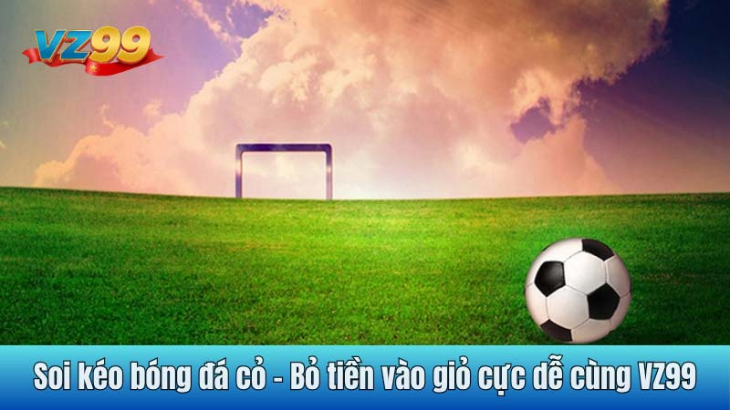 Soi kéo bóng đá cỏ - Bỏ tiền vào giỏ cực dễ cùng VZ99