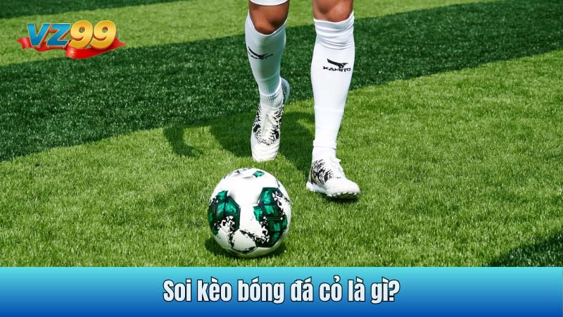 Soi kèo bóng đá cỏ là gì?
