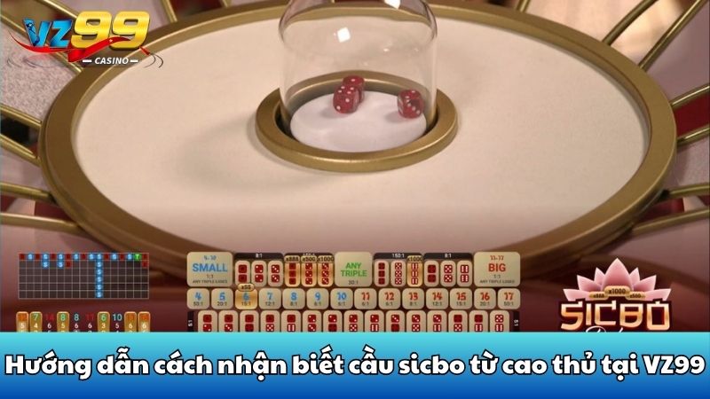 Hướng dẫn cách nhận biết cầu sicbo từ cao thủ tại VZ99